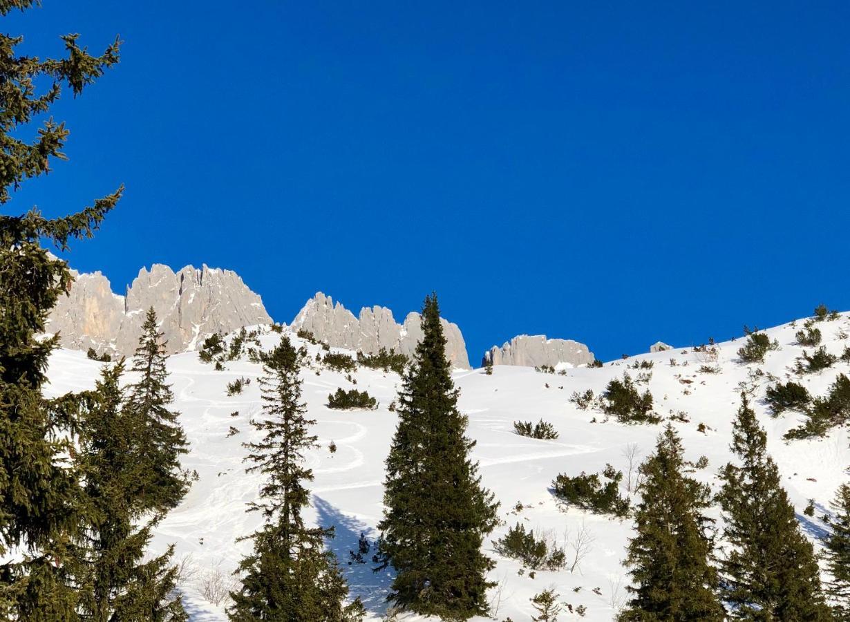 Hotel Alpin Tyrol - Kitzbueheler Alpen Санкт-Йоганн Экстерьер фото